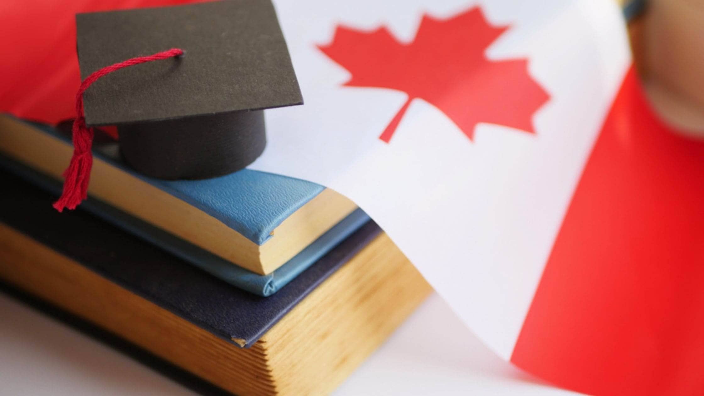 Top 10 Reasons To Study For A Bachelor’s Degree In Canada